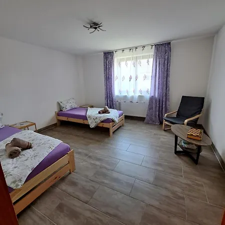 Apartament Mit 2 - 3 Zimmern *