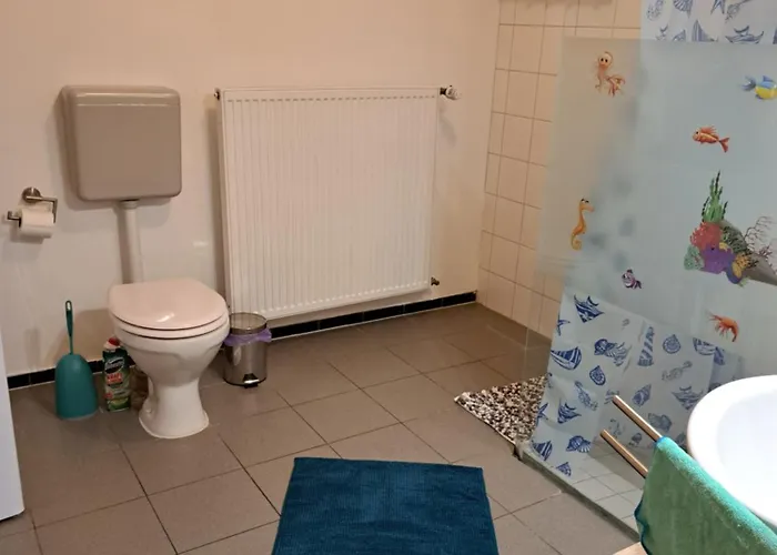 Apartament Mit 2 - 3 Zimmern Ballenberg