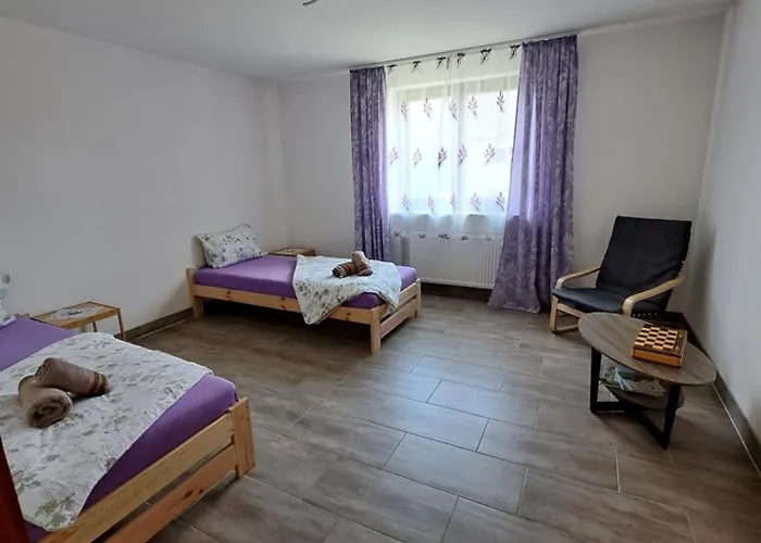 Apartament Mit 2 - 3 Zimmern *